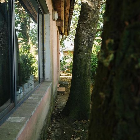 Studio/Flat Rustic Tuscan Marziani 2 Capannori Exterior foto