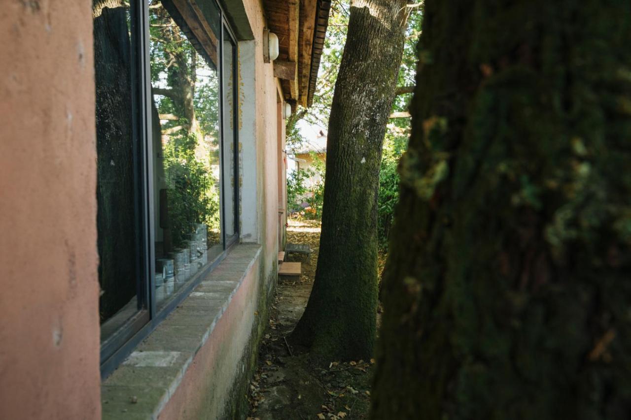 Studio/Flat Rustic Tuscan Marziani 2 Capannori Exterior foto